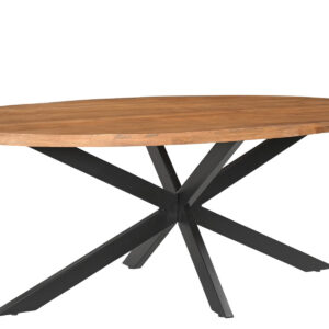 LivingFurn Ovale Eettafel 'Rocky' Mangohout en staal, 210 x 110cm
