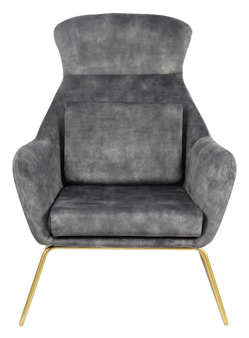Artistiq Fauteuil 'Phelipe' Velvet, kleur grijs - Afbeelding 2