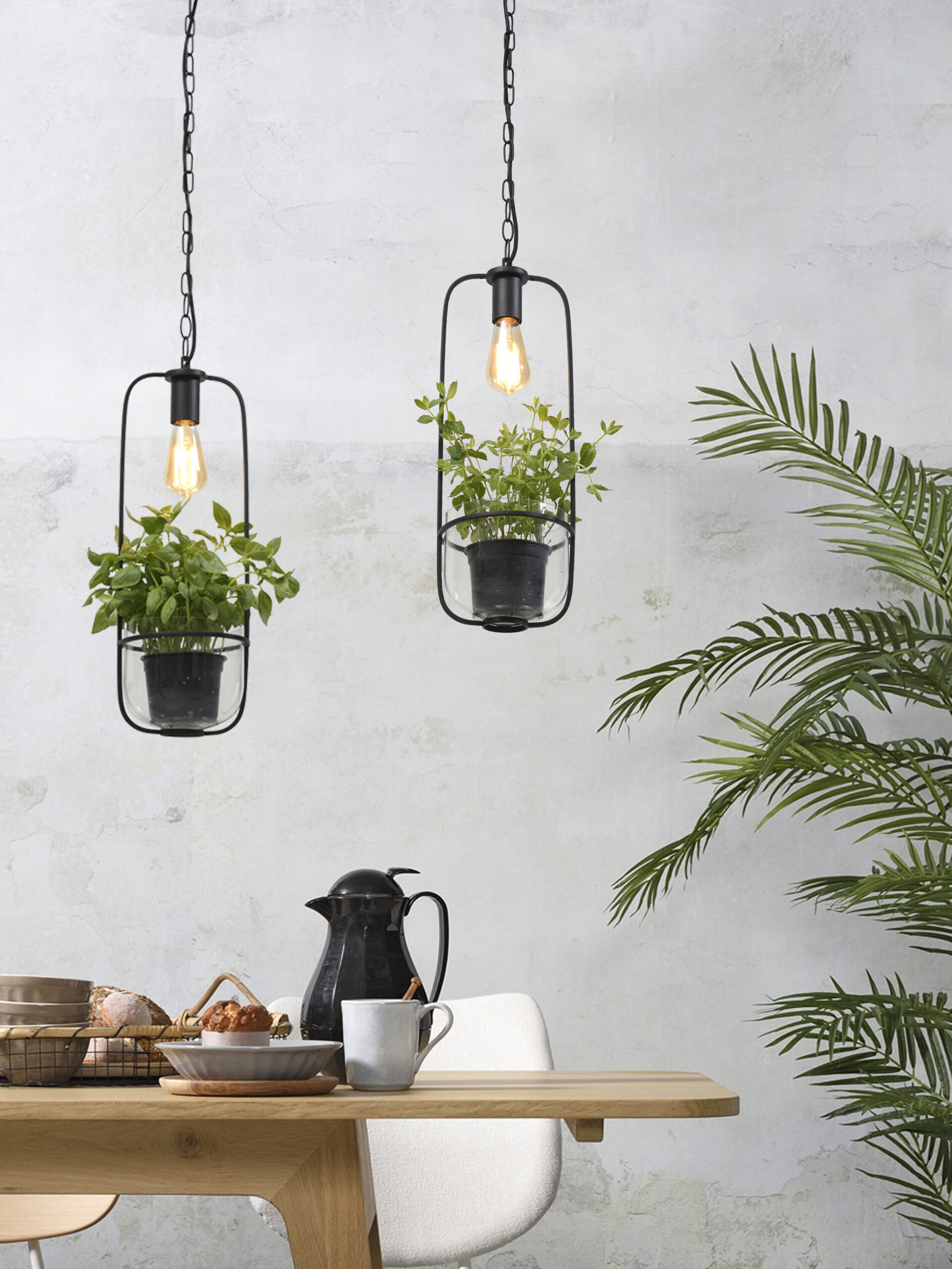 its about RoMi Hanglamp 'Florence' Met planthouder, kleur Zwart - Afbeelding 7