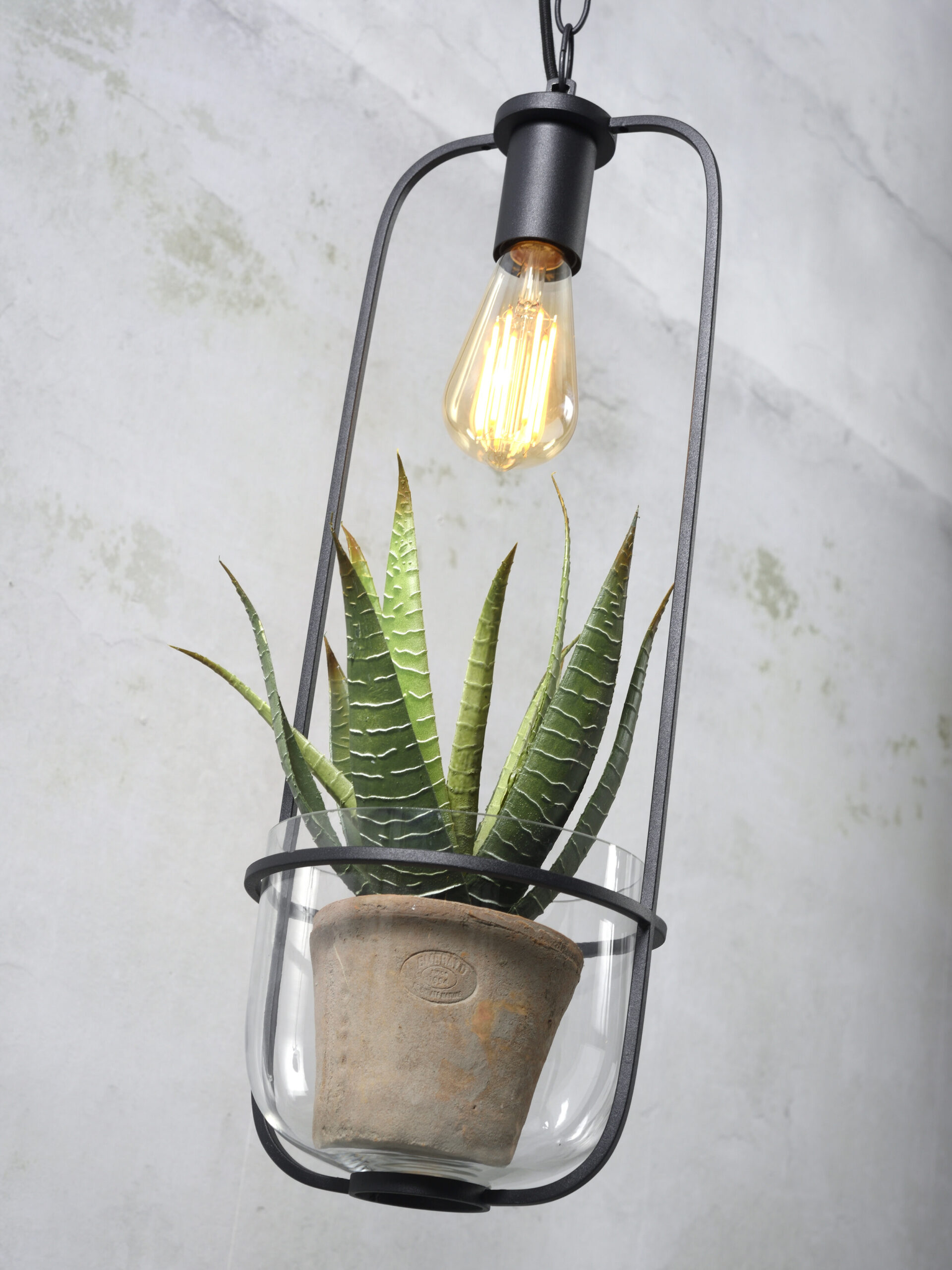 its about RoMi Hanglamp 'Florence' Met planthouder, kleur Zwart - Afbeelding 3