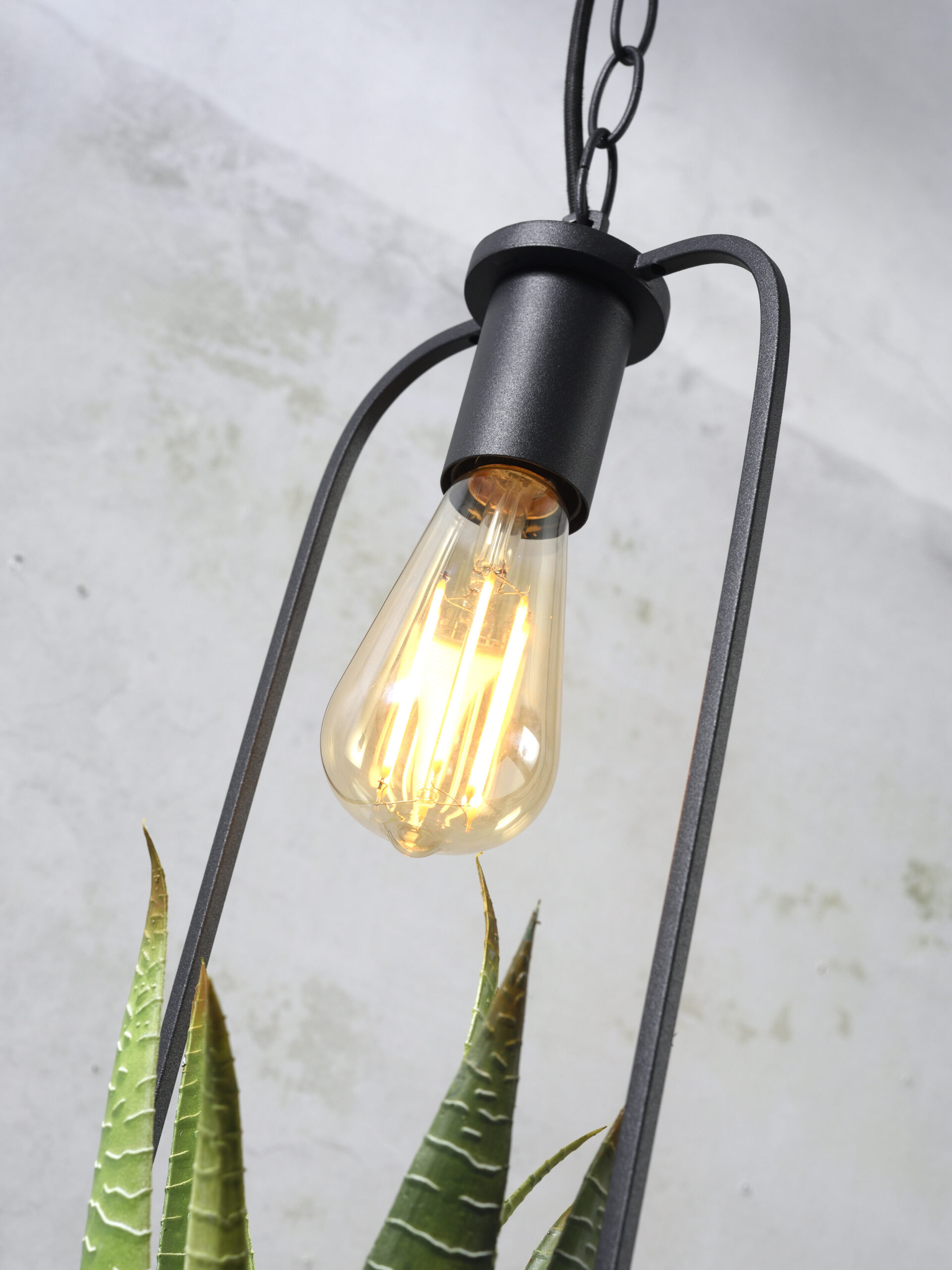 its about RoMi Hanglamp 'Florence' Met planthouder, kleur Zwart - Afbeelding 4