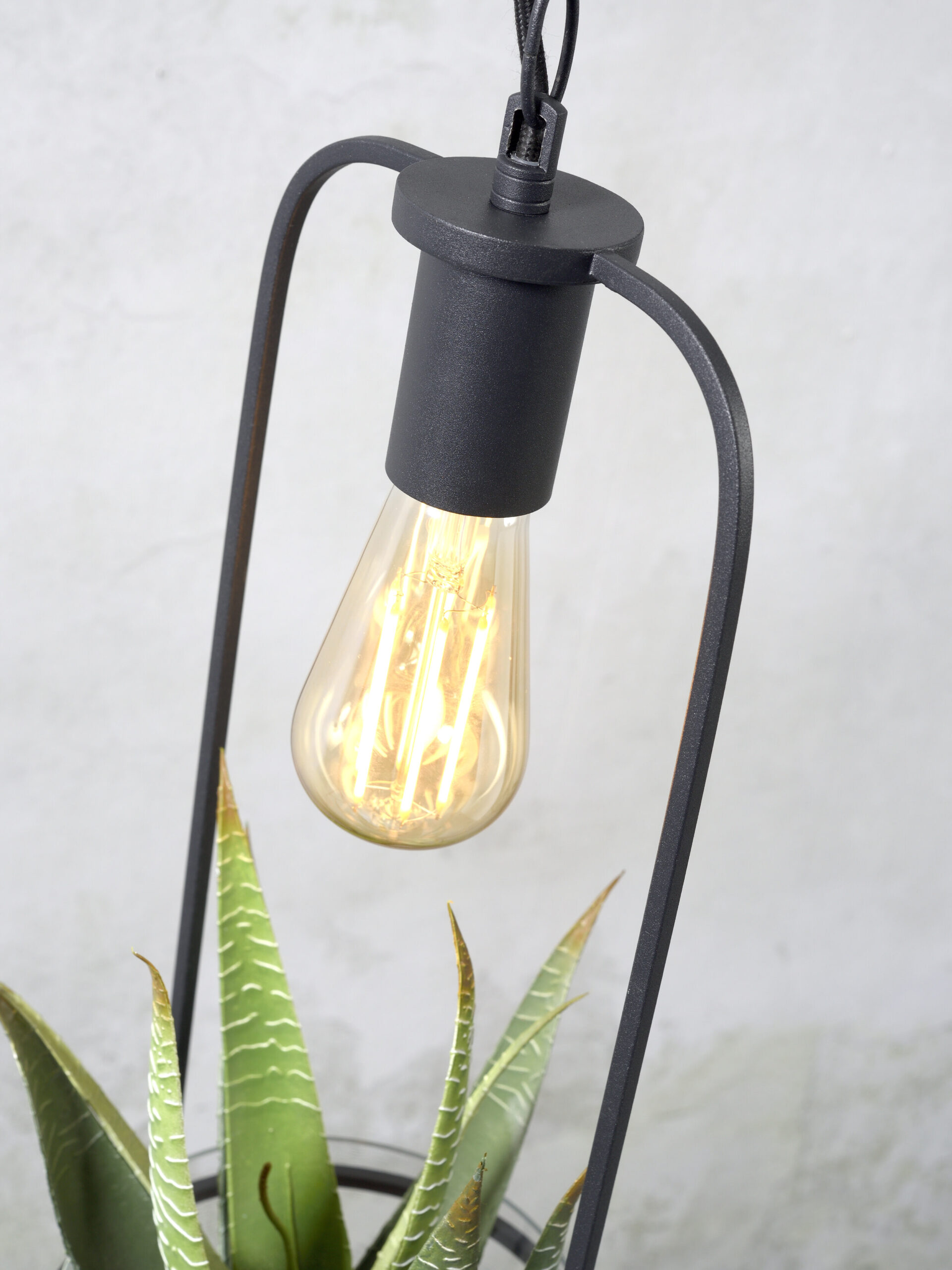 its about RoMi Hanglamp 'Florence' Met planthouder, kleur Zwart - Afbeelding 5